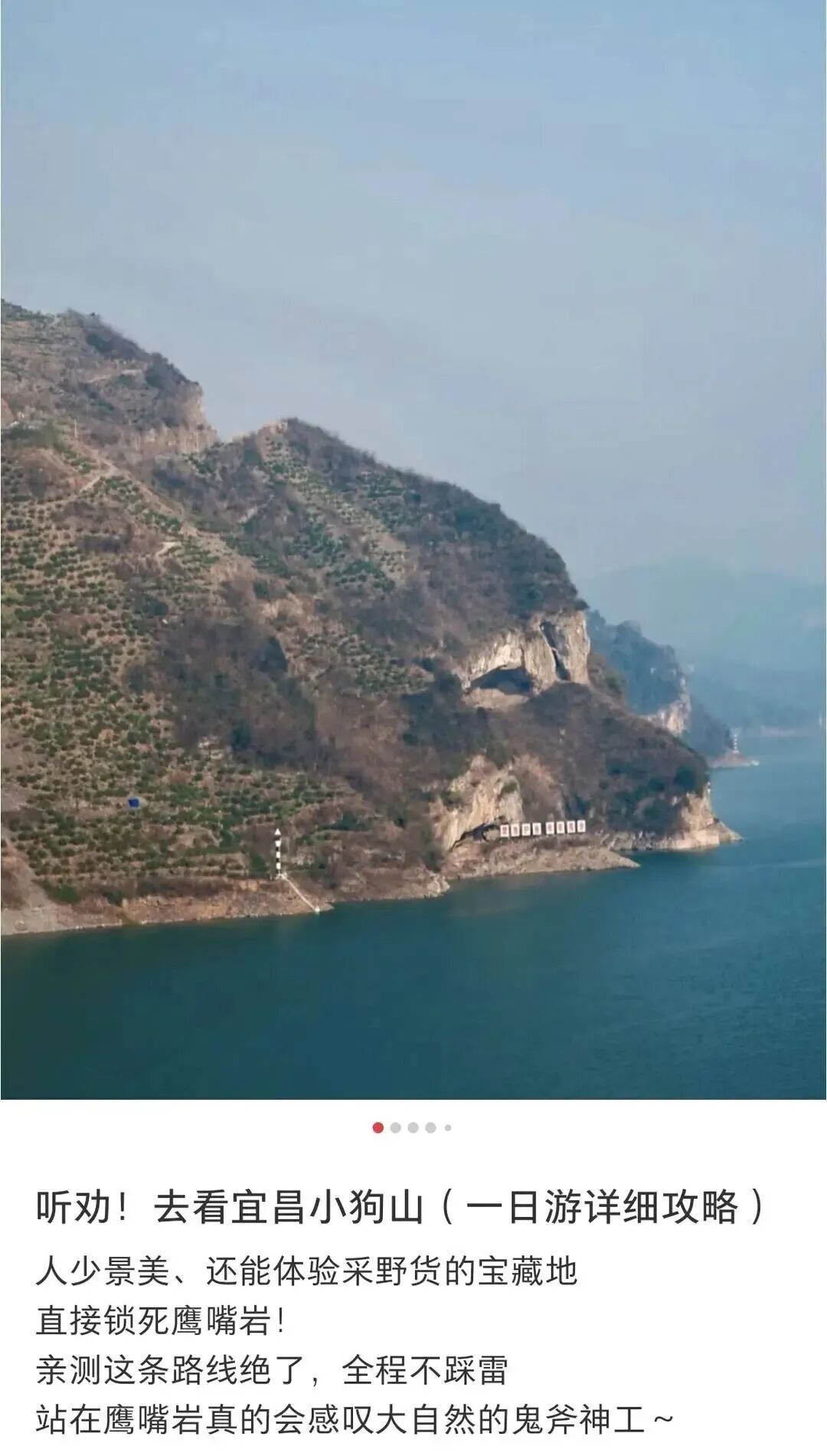 横看成岭侧成“狗”！湖北这座“小狗山”火出圈，网友争相打卡