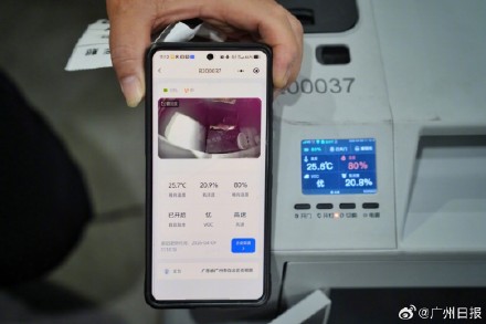 广州一猫咪体验单独坐高铁 广州一猫咪体验单独坐高铁