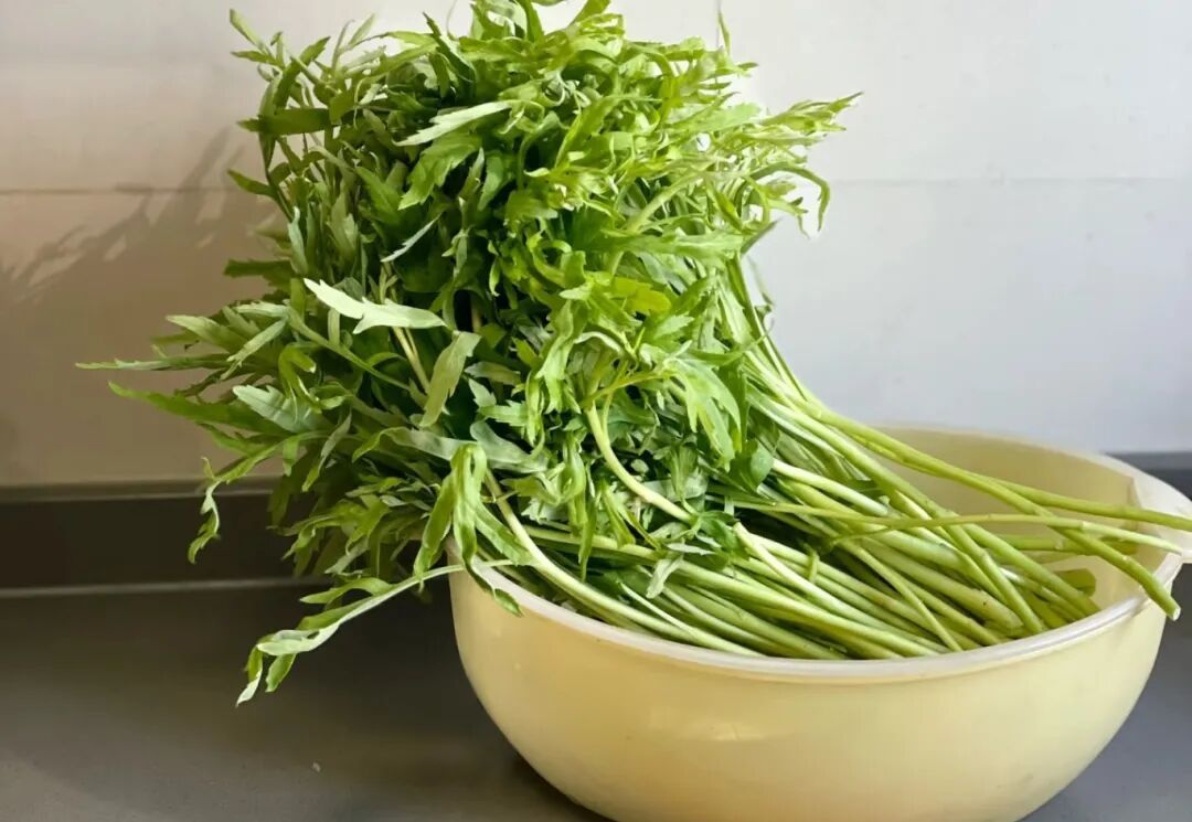 春天多吃这根“秆子”，排尿酸、护血管