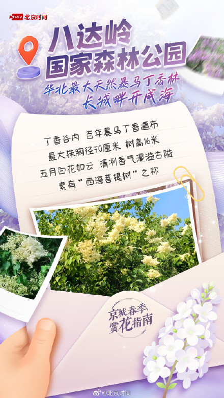 满城丁香已盛开，北京这几处花海别错过