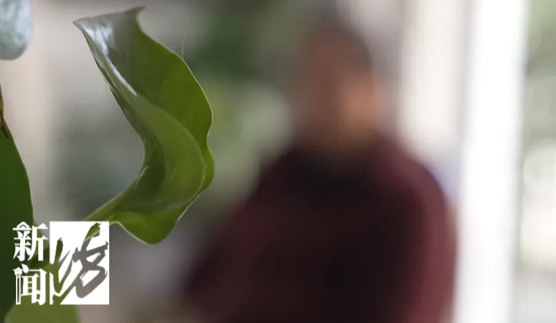 信任的业务员失联后，上海阿婆发现8份保险全被退了！警方：若继续持有价值百万