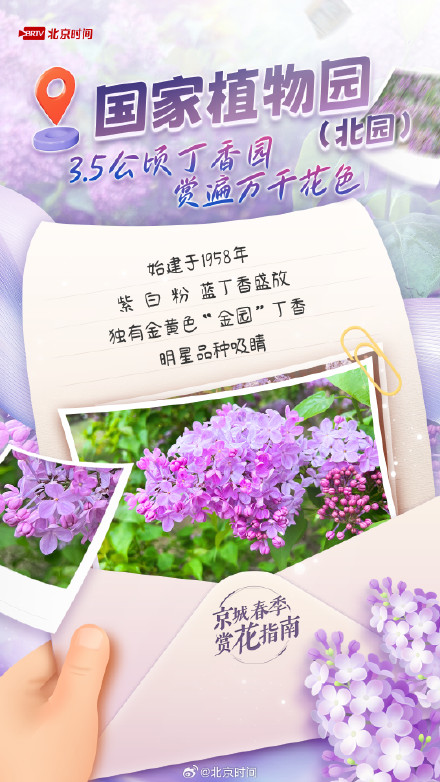 满城丁香已盛开，北京这几处花海别错过