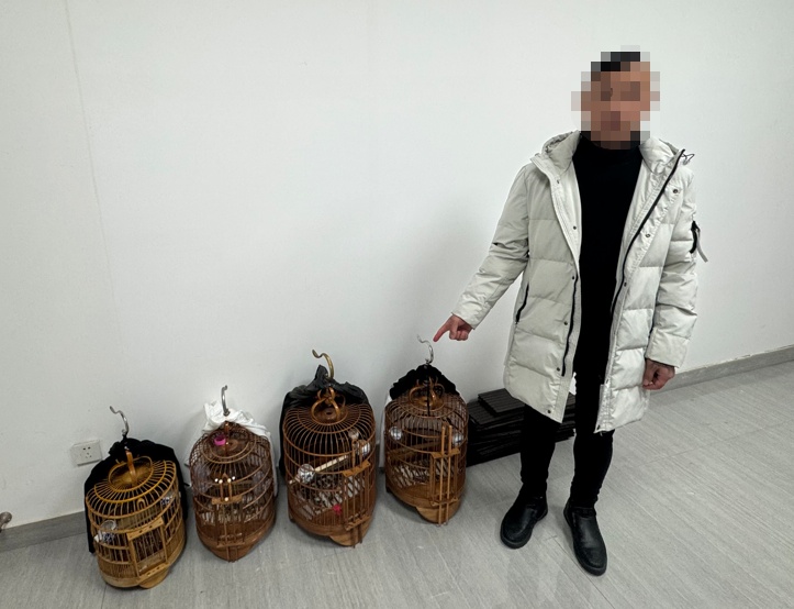 男子因饲养这种鸟被抓!海宁警方提醒:爱鸟要注意方法 男子因饲养这种鸟被抓!海宁警方提醒:爱鸟要注意方法