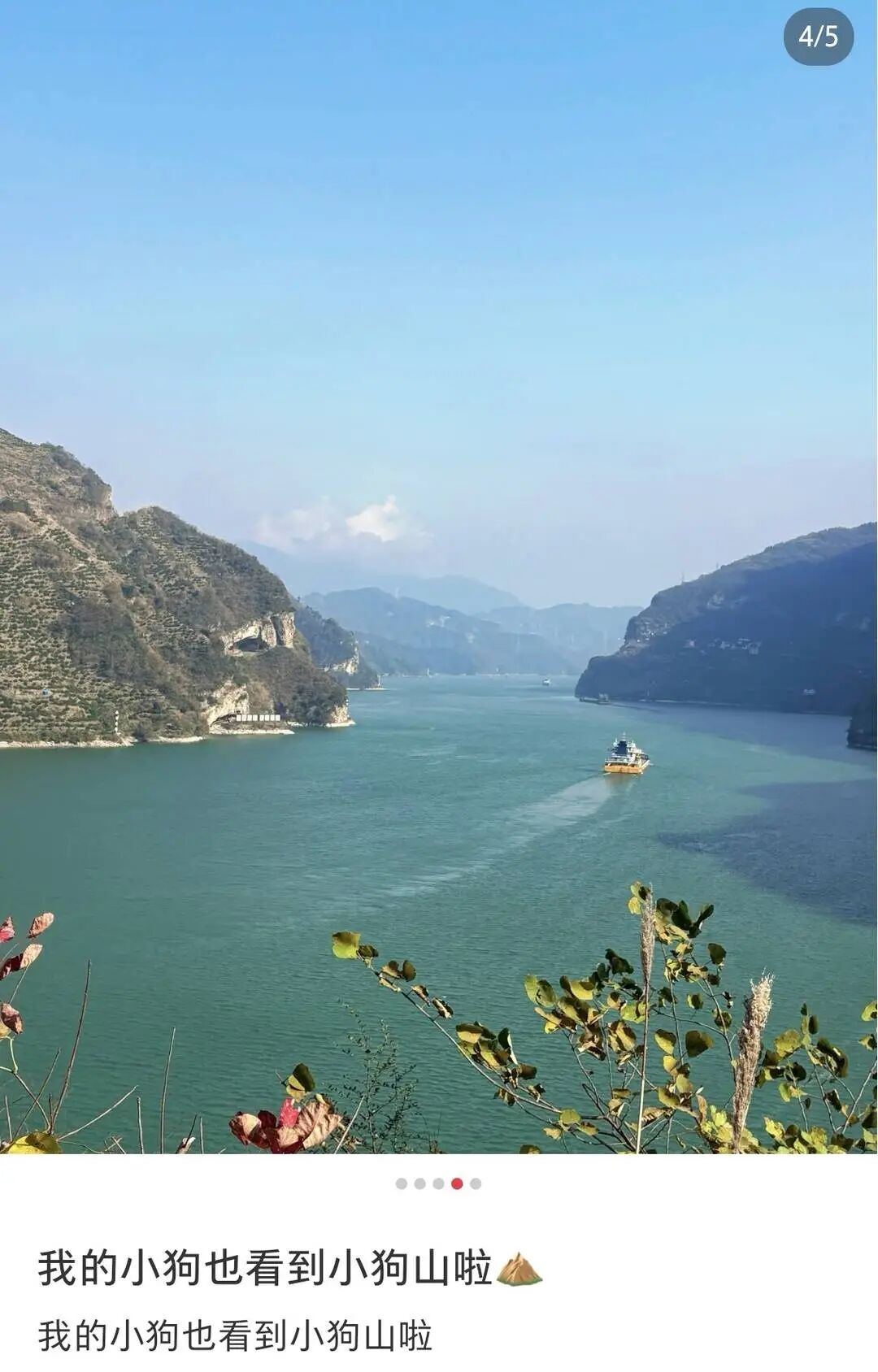 横看成岭侧成“狗”！湖北这座“小狗山”火出圈，网友争相打卡