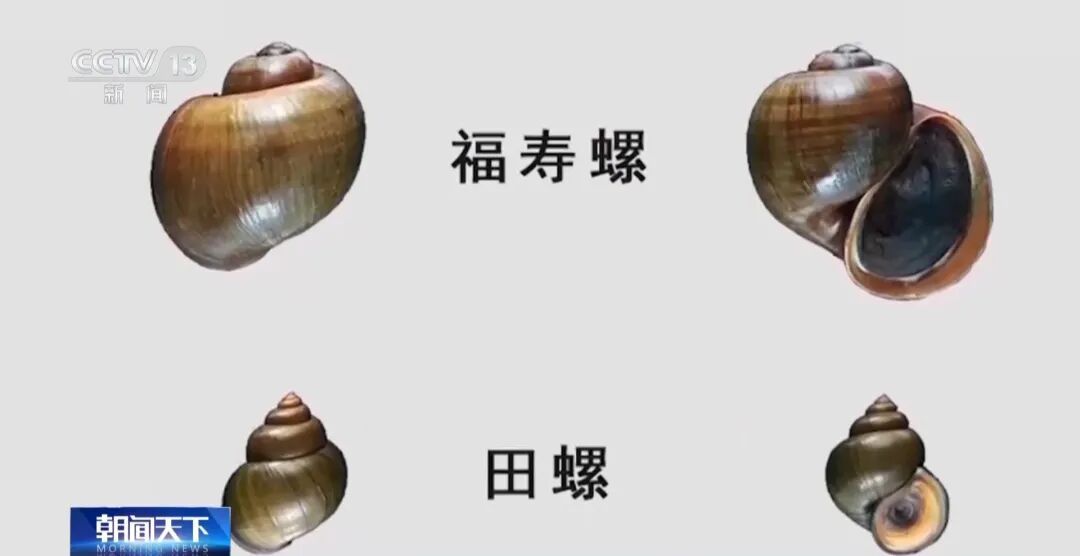 别碰！别吃！江苏已出现