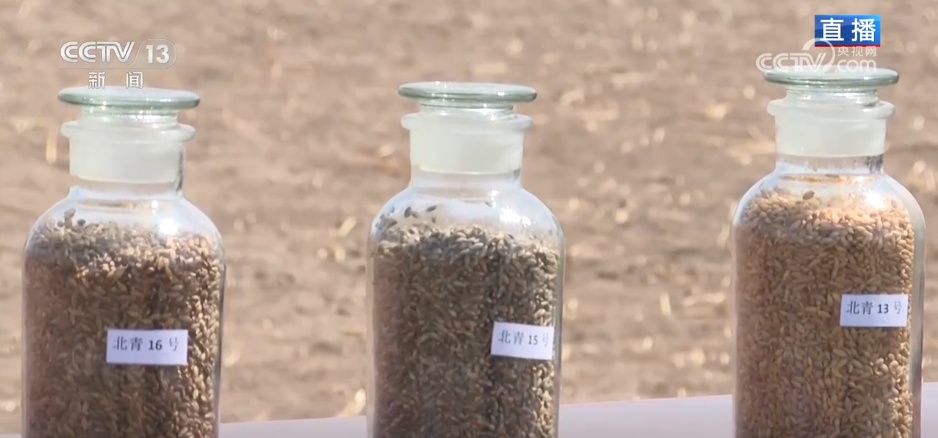 “北斗+”科技兴农绘就农耕新图景 广袤高原奏响“智慧春耕曲”