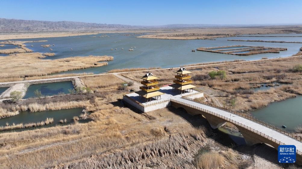 宁夏青铜峡：湿地自然保护区引进丹顶鹤