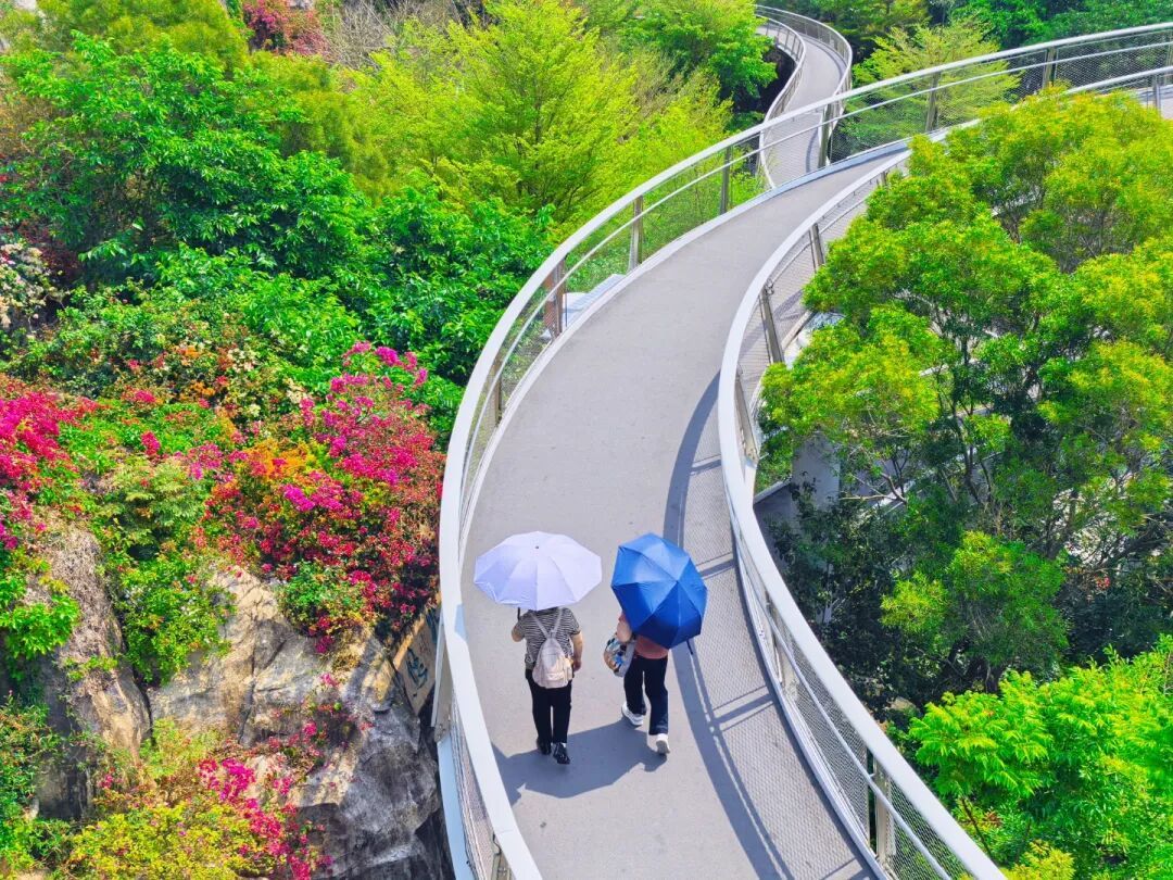 最高温冲上31℃！未来10天，厦门7天有雨！新一股冷空气即将抵达……