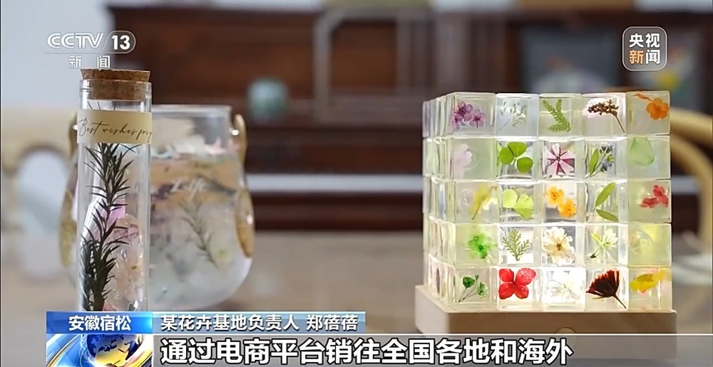 有“颜”又有“值” 朵朵春花点亮乡村致富路