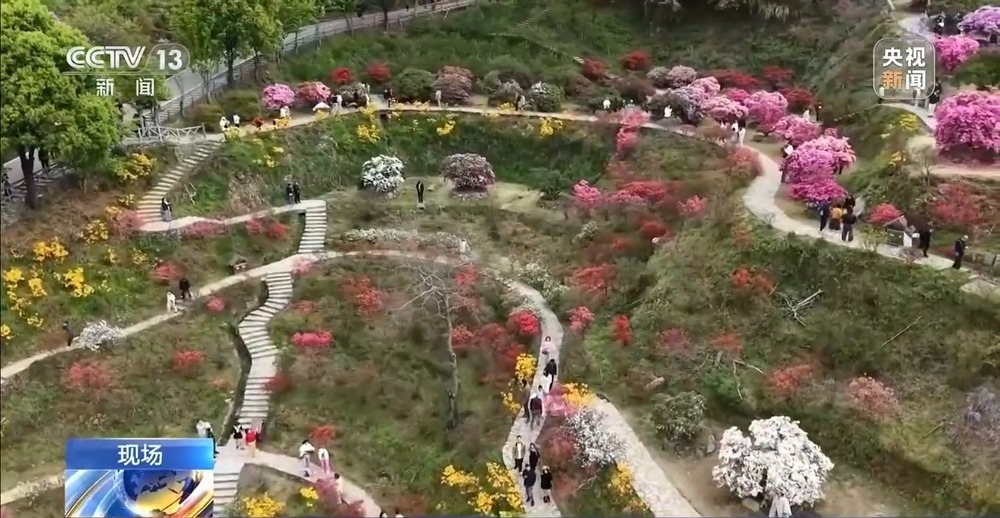 有“颜”又有“值” 朵朵春花点亮乡村致富路