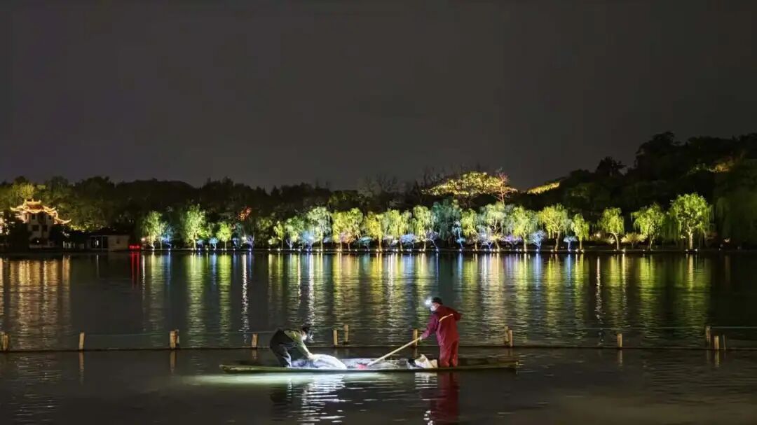 “西湖要撒7吨漂白粉”，到底会不会影响生态？