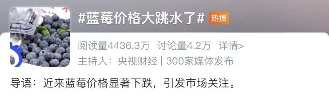 “价格大跳水”！你爱吃的这种水果连续冲上热搜，网友直呼过瘾→