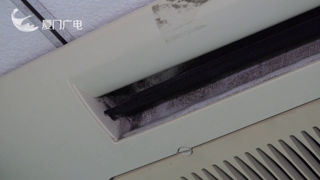 潮湿多雨，小心家里长霉菌！医生：一旦吸入可致肺炎、哮喘恶化……