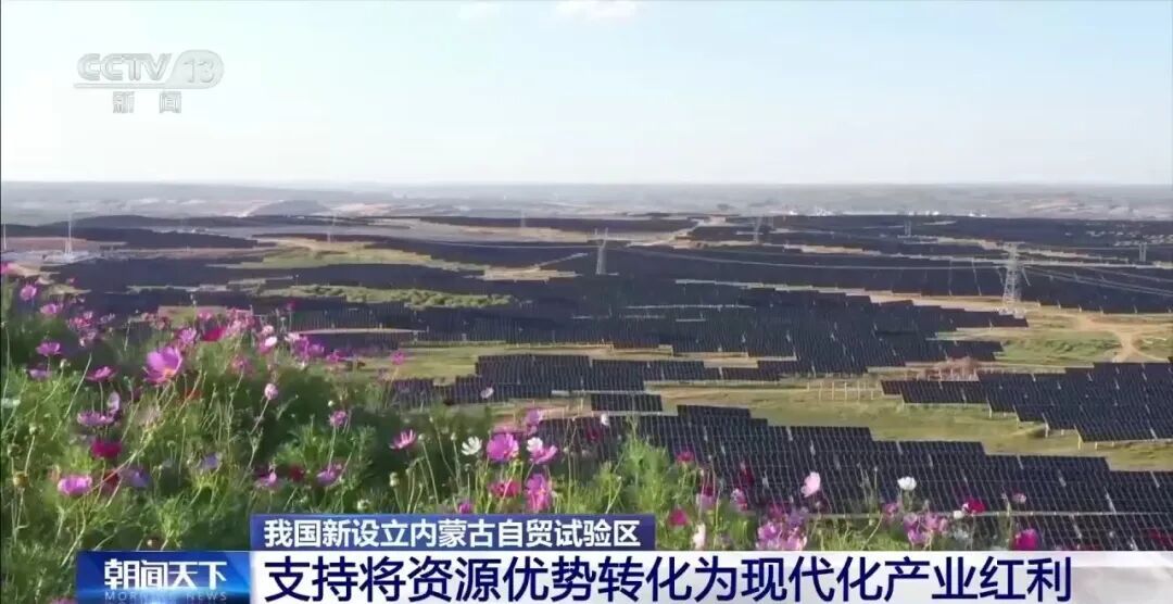 中国自贸区＋1，为何是这里？