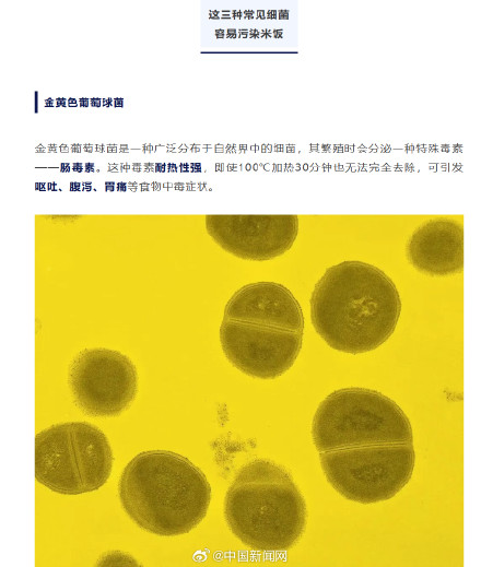 电饭煲保温不要超过4小时