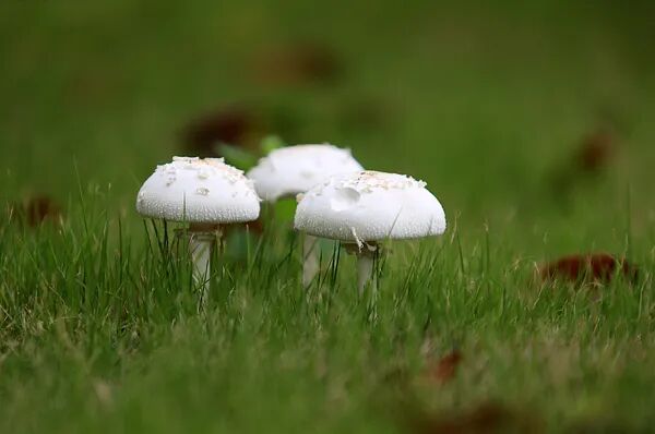 中到大雨午后来袭!上海街头雨后这现象被很多人拍下,每年都有意外发生!务必当心 中到大雨午后来袭!上海街头雨后这现象被很多人拍下,每年都有意外发生!务必当心