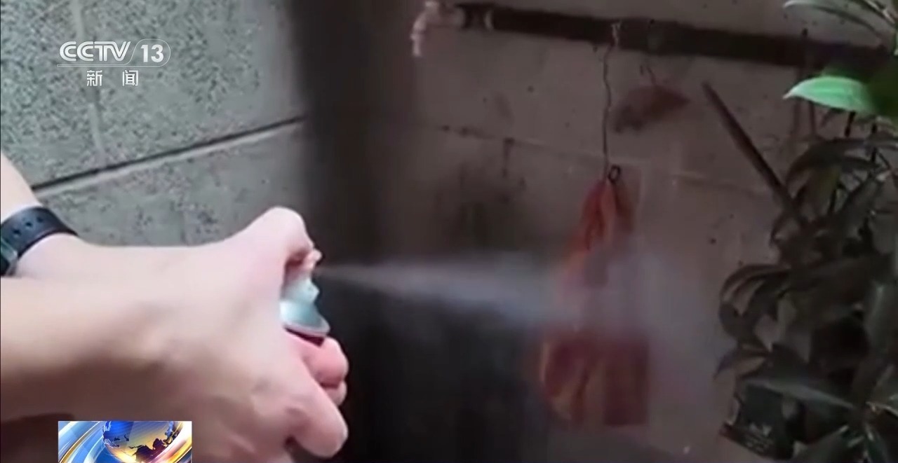 天气转暖蚊虫蜱虫活跃 专家提醒户外活动需做好防范