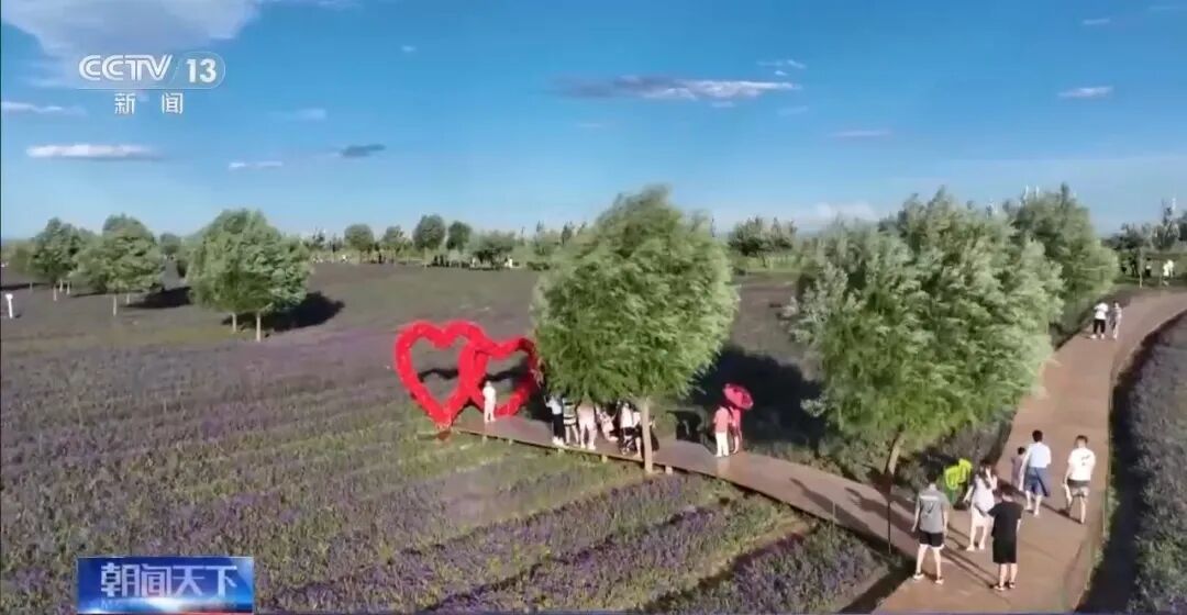 中国自贸区＋1，为何是这里？