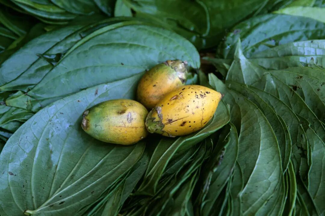 国家版"防癌说明书"来了！15条防癌法则，很多人前7条全没做到…