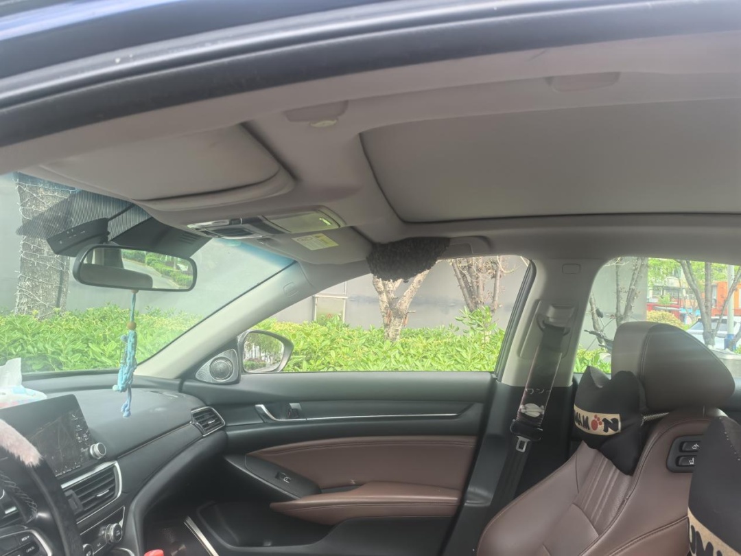 浙江一男子忘关车窗十来分钟,回来惊呆:蜜蜂已在车内建起“蜂巢” 浙江一男子忘关车窗十来分钟,回来惊呆:蜜蜂已在车内建起“蜂巢”