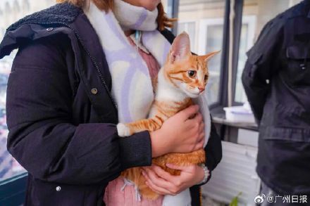 121座高铁站、228趟列车，都可以让宠物上车了