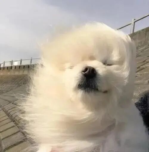 “超强台风”来了？4号台风“森拉克”生成！广州周末又泡汤......