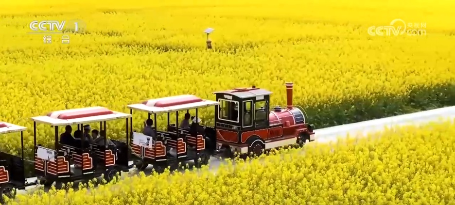 透过数据看亮点 多领域“枝繁叶茂”折射中国经济活力满满 透过数据看亮点 多领域“枝繁叶茂”折射中国经济活力满满