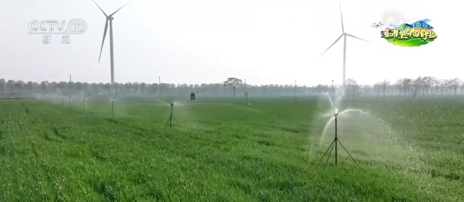 数智农具不断“上新”、网络成为“新农资” 智慧农业为乡村插上“科技翅膀”