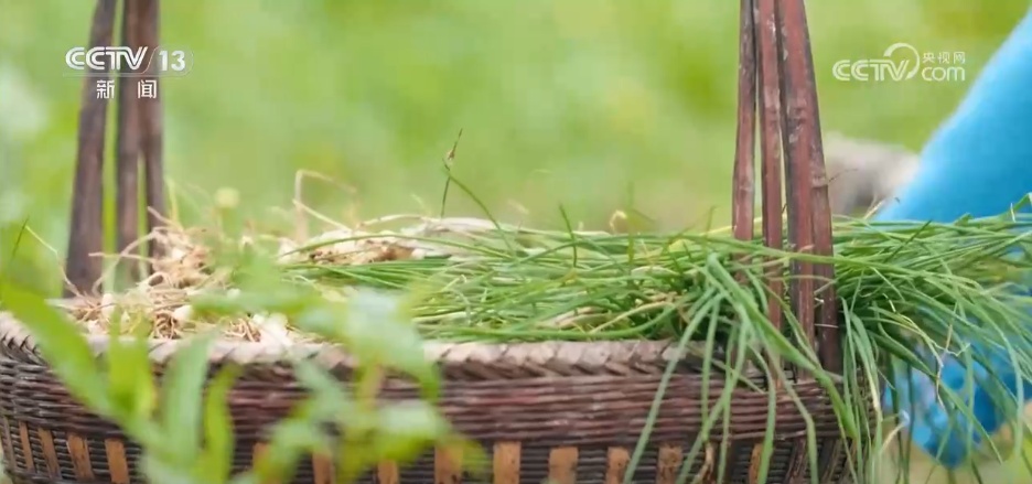 各地限定春鲜解锁“舌尖密码” “特色美食+文旅”延伸消费链条 各地限定春鲜解锁“舌尖密码” “特色美食+文旅”延伸消费链条