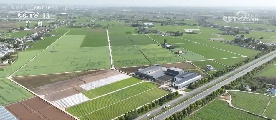 智能工厂、北斗+……科技“组合拳”赋能春耕春管 筑牢夏粮稳产根基 智能工厂、北斗+……科技“组合拳”赋能春耕春管 筑牢夏粮稳产根基