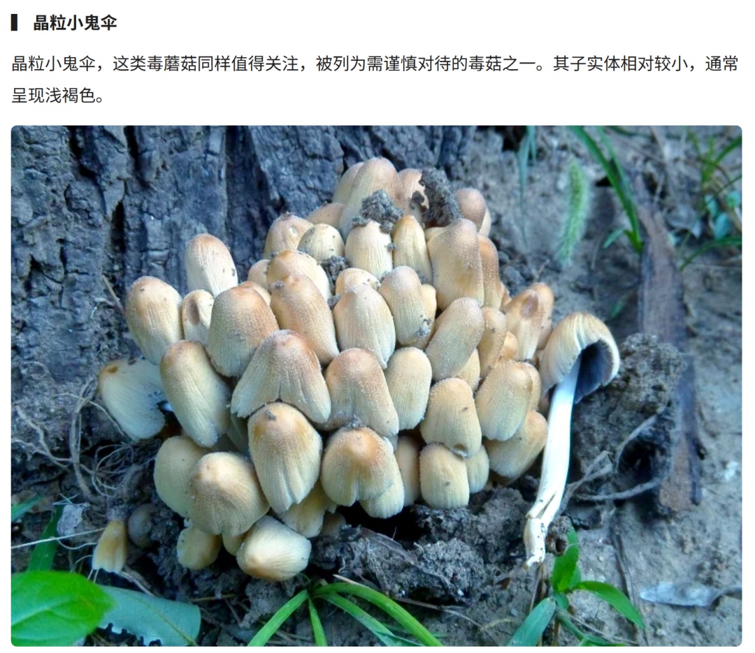 中到大雨午后来袭!上海街头雨后这现象被很多人拍下,每年都有意外发生!务必当心 中到大雨午后来袭!上海街头雨后这现象被很多人拍下,每年都有意外发生!务必当心