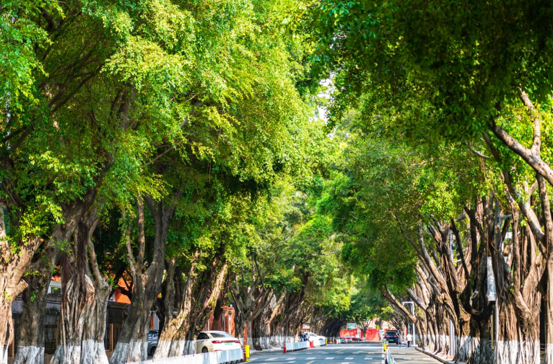 广东,有局部大雨! 广东,有局部大雨!