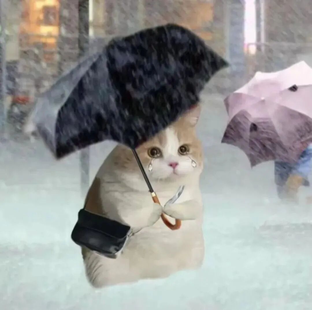 “超强台风”来了？4号台风“森拉克”生成！广州周末又泡汤......