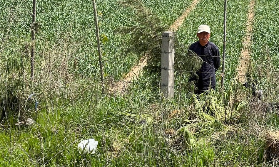 “免贵姓孙！”暖哭全网的河南大爷找到了！