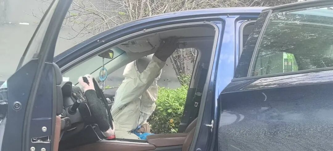 浙江一男子忘关车窗十来分钟,回来惊呆:蜜蜂已在车内建起“蜂巢” 浙江一男子忘关车窗十来分钟,回来惊呆:蜜蜂已在车内建起“蜂巢”