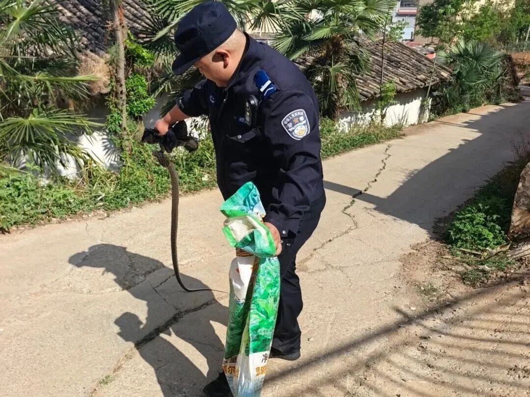 注意!近期多发,看到请保持距离 注意!近期多发,看到请保持距离