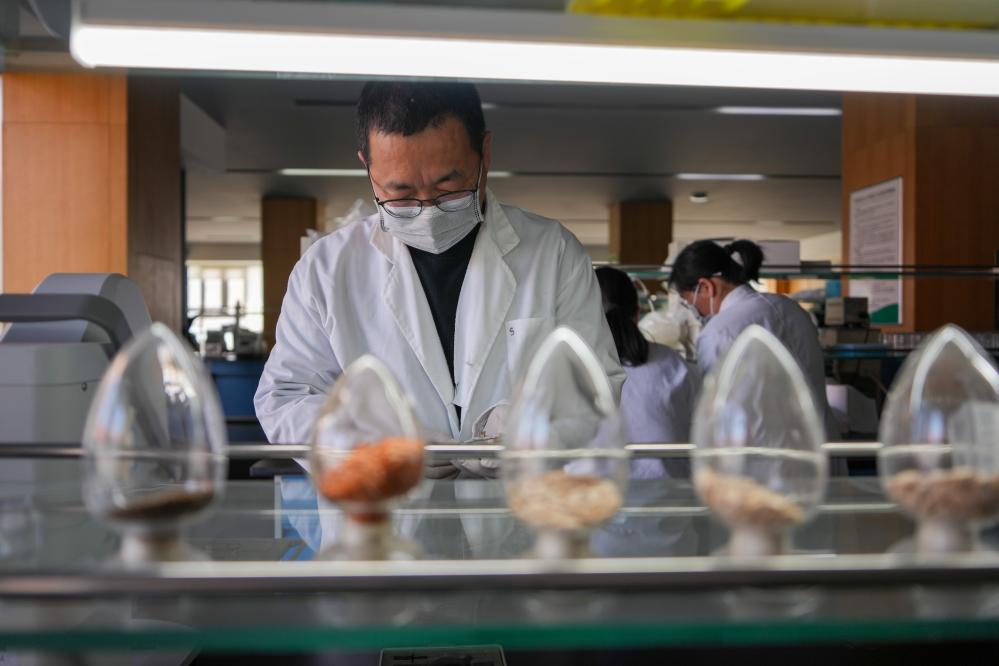 谁还没吃过寿光菜？它的 “种子家底” 太惊人