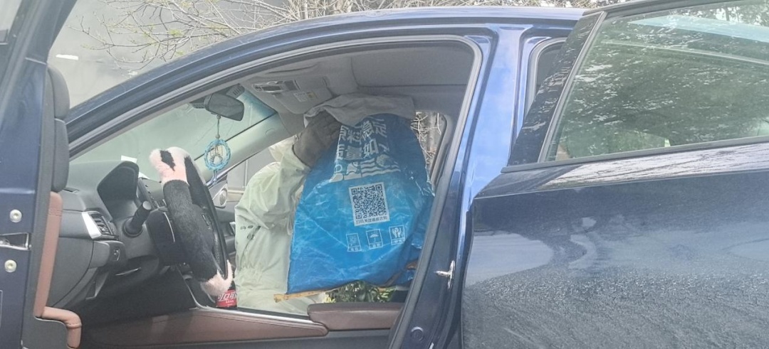 停车未关车窗十多分钟，浙江男子回来时傻眼：车内闯入数十只蜜蜂，正在筑巢