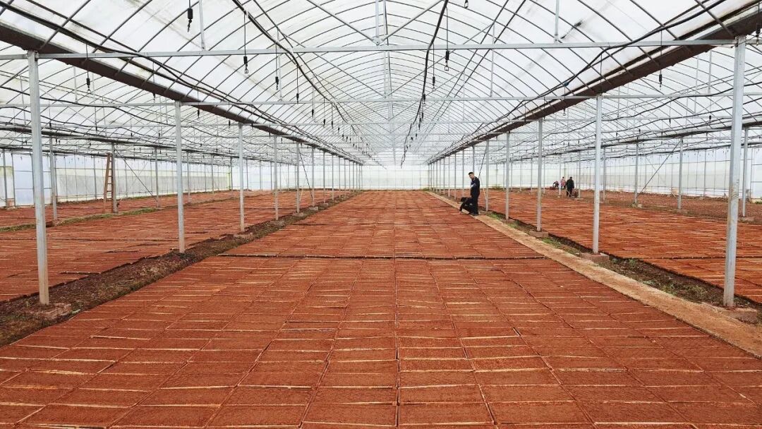 湖南一男子放弃海外百万年薪，回乡种田：用代码重新定义农耕，一年省出10万元