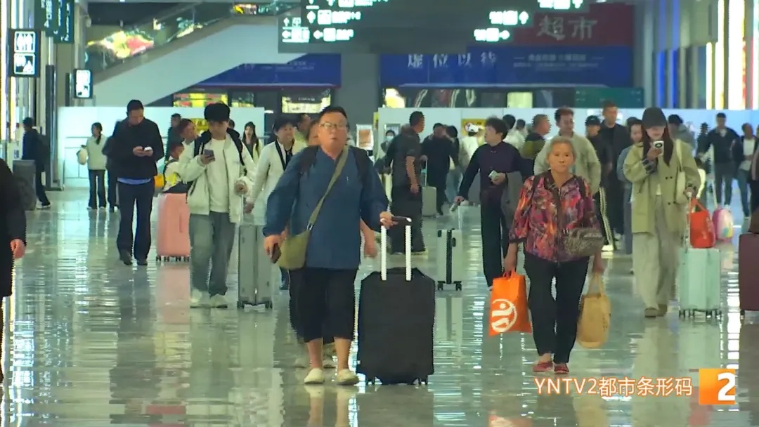 高铁“爱宠行”服务上线 昆明出发360元起！提前两天预约，方式有两种......