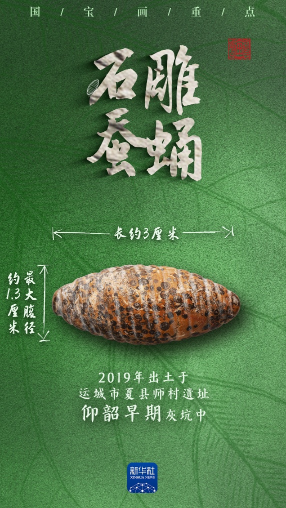 多地出土,它们是5000多年前的蚕蛹艺术品吗? 多地出土,它们是5000多年前的蚕蛹艺术品吗?