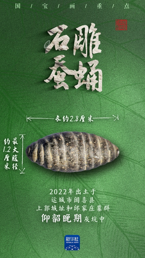 多地出土,它们是5000多年前的蚕蛹艺术品吗? 多地出土,它们是5000多年前的蚕蛹艺术品吗?