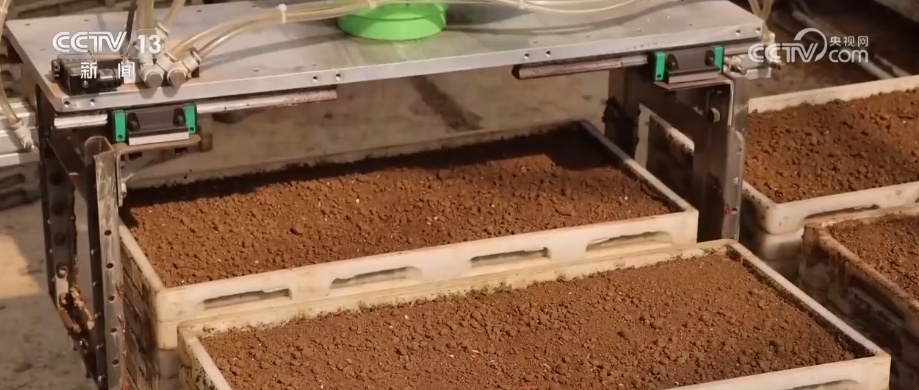 沃野春耕忙“田保姆”上岗 “科技春耕图”在广袤田野铺展开