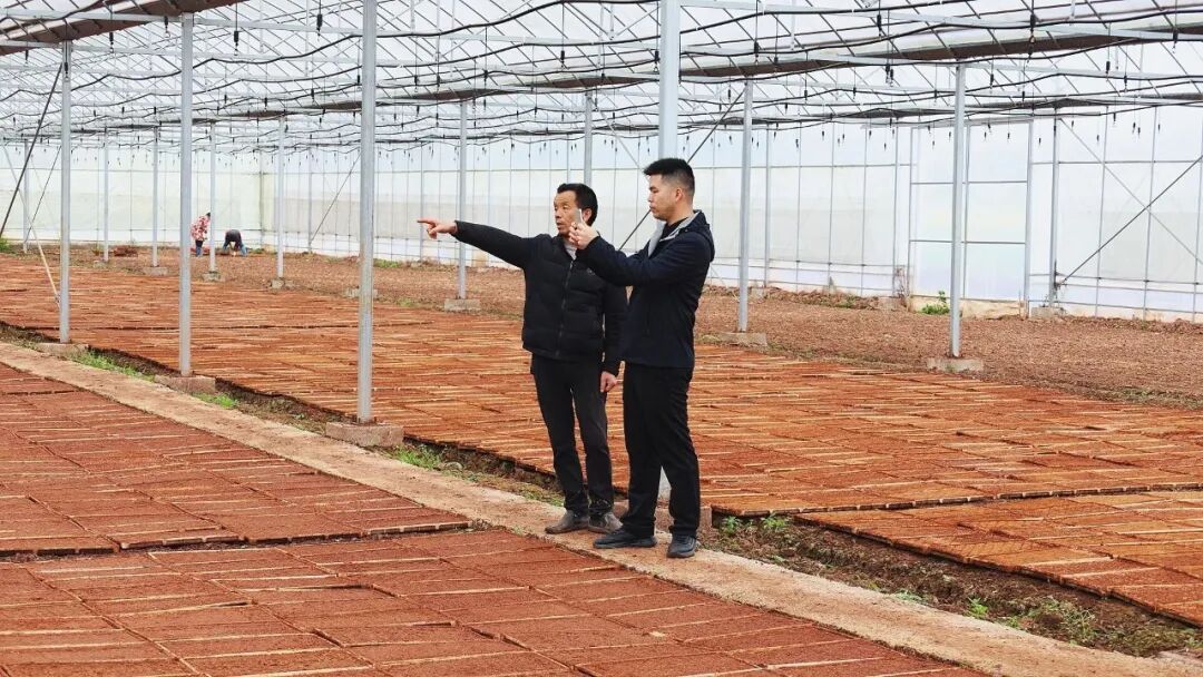 湖南一男子放弃海外百万年薪，回乡种田：用代码重新定义农耕，一年省出10万元