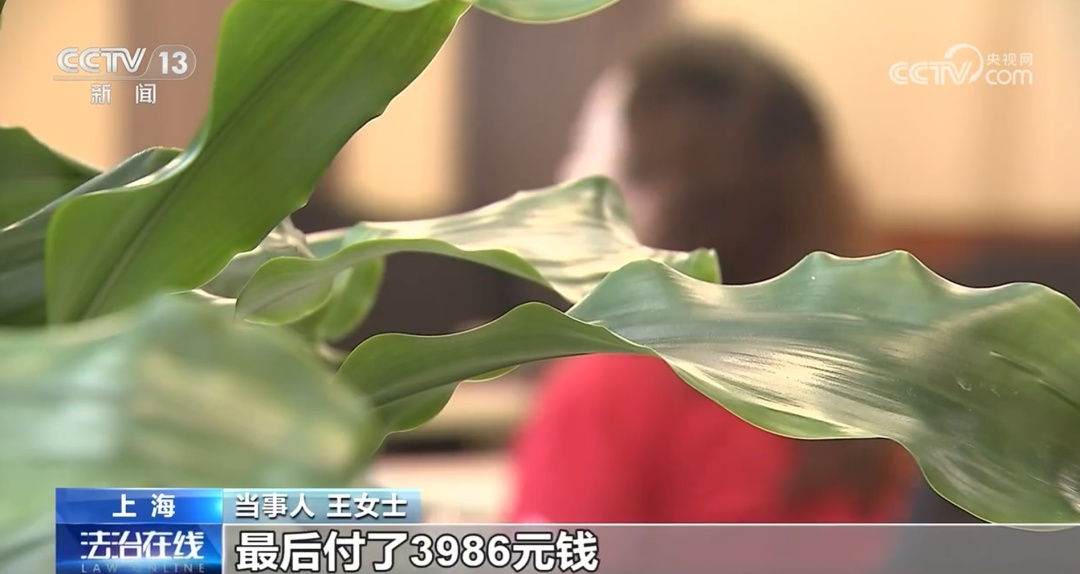 太恶劣，全是演的！央视曝光：19名犯罪嫌疑人全部落网