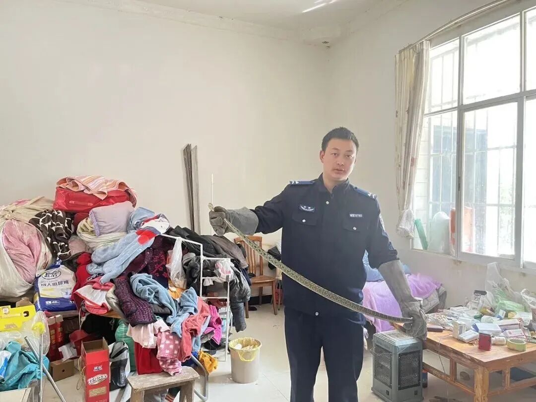 注意!近期多发,看到请保持距离 注意!近期多发,看到请保持距离