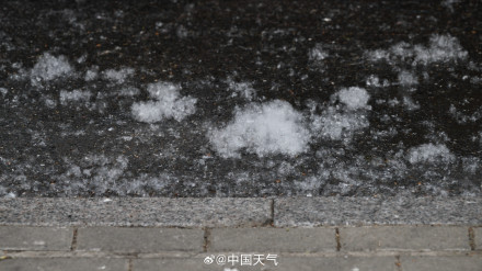 被杨柳絮支配的一天 被杨柳絮支配的一天