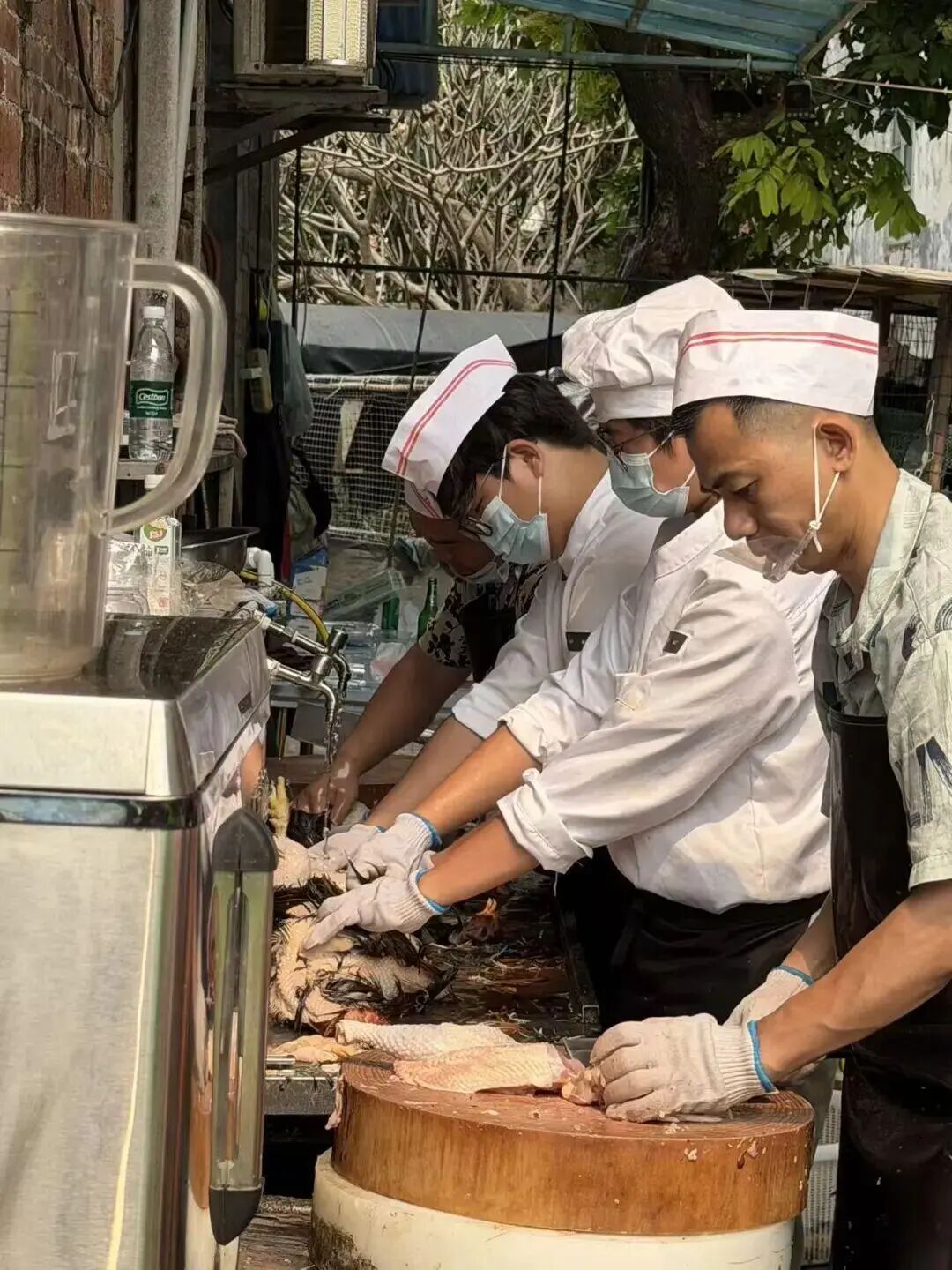 一群大学生，“扛”下莫氏鸡煲周末客流高峰