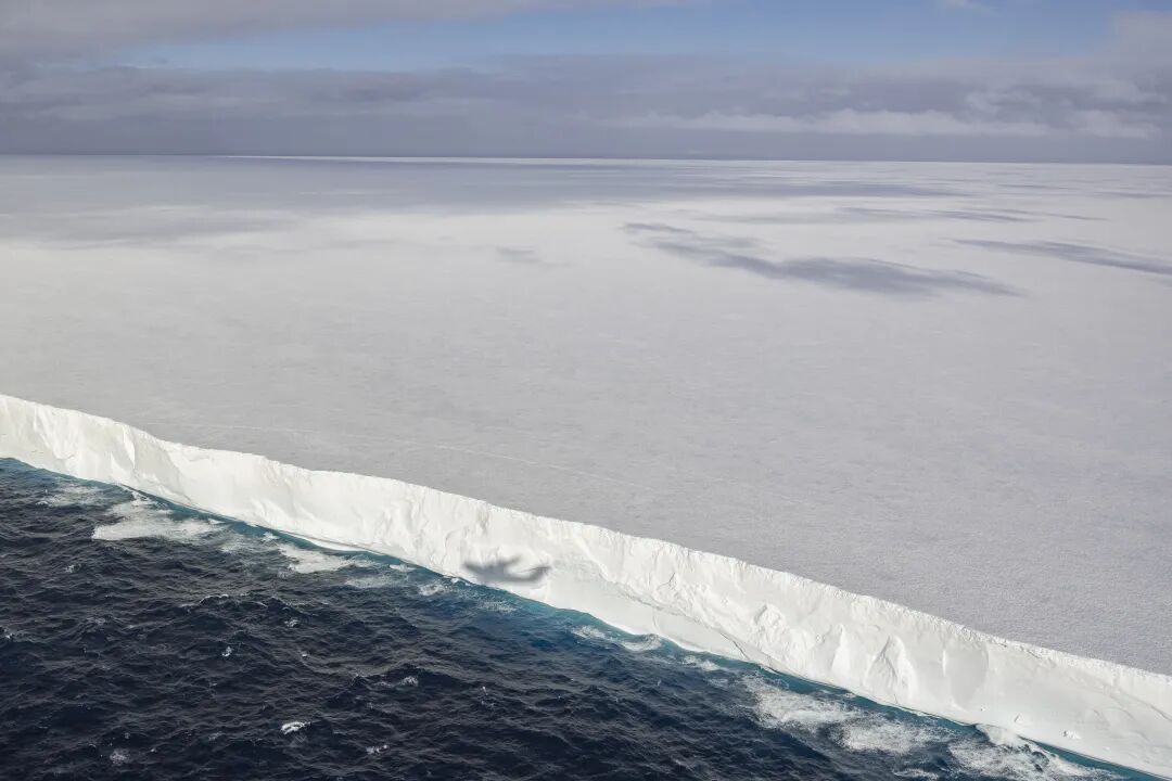 全球最大冰山A23a，没了！其面积曾接近上海市的三分之二，现已缩减至35.2平方公里