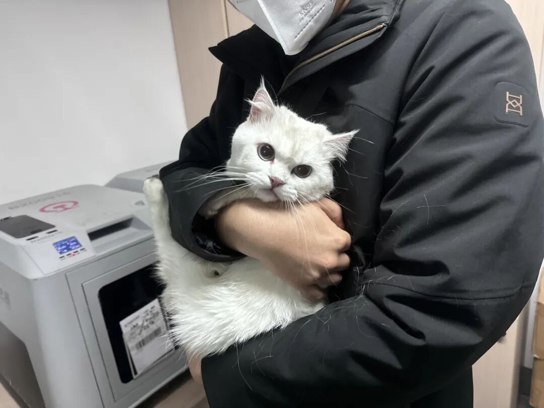 “毛孩子”可以单独出行了！高铁宠物托运服务升级